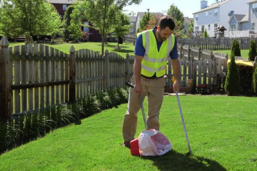 Animal Waste Removal